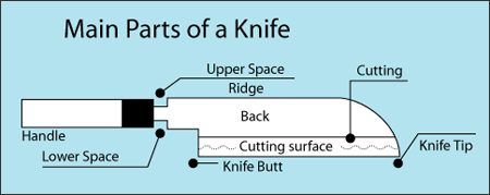Main Parts of a Knife