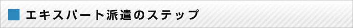 エキスパート派遣のステップ