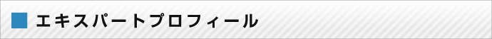 エキスパートプロフィール