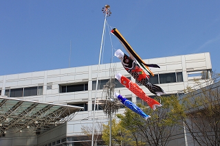 koinobori